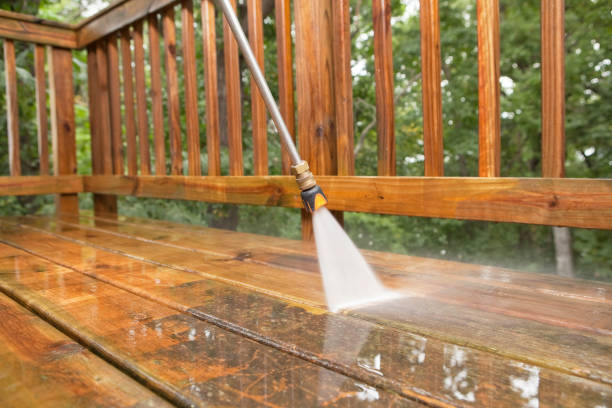 Best Solar Panel Cleaning  in Spring Lake Park, MN